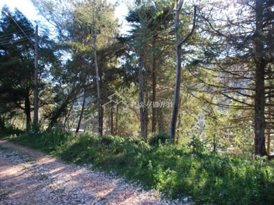 Terreno, 1200 m² - Foto 3