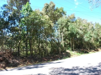 Terreno, 1266 m² - Foto 2