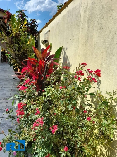 Casa, 5 quartos, 290 m² - Foto 2