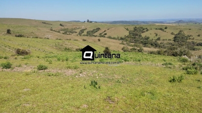 Fazenda-Sítio-Chácara, 89 hectares - Foto 2