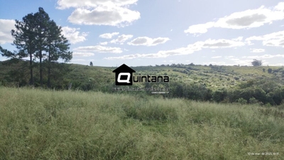 Fazenda-Sítio-Chácara, 70 hectares - Foto 5