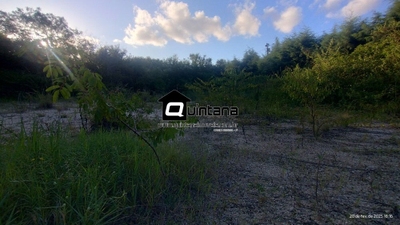 Terreno, 2 hectares - Foto 2