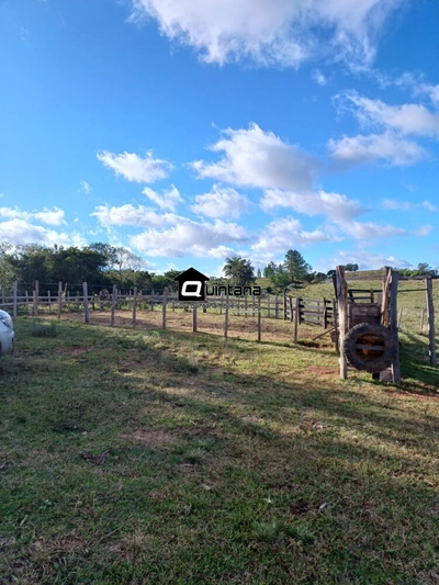 Fazenda-Sítio-Chácara, 92 hectares - Foto 2