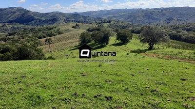 Fazenda-Sítio-Chácara, 800 hectares - Foto 4