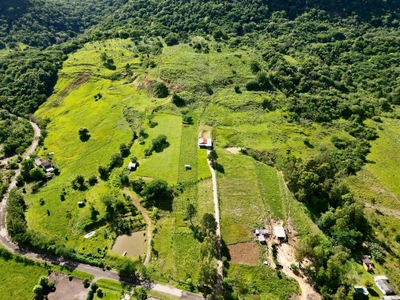 Chácara, 4 hectares - Foto 1