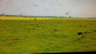 Fazenda-Sítio-Chácara - Foto 1