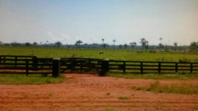 Fazenda-Sítio-Chácara - Foto 3