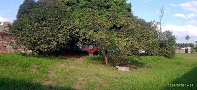 Terreno, 4805 m² - Foto 3