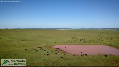 Fazenda-Sítio-Chácara, 4847 hectares - Foto 3