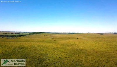 Fazenda-Sítio-Chácara, 4847 hectares - Foto 5