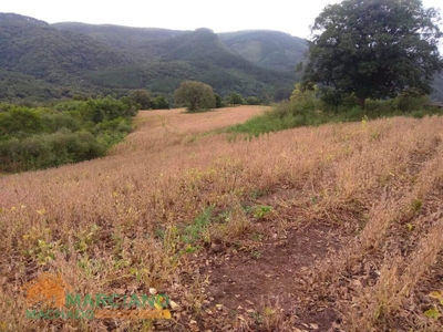 Loteamento e Condomínio, 140 hectares - Foto 4