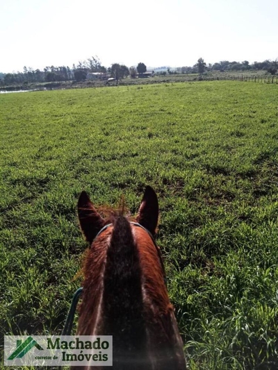 Fazenda-Sítio-Chácara, 440 hectares - Foto 3
