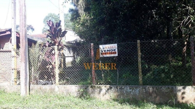 Chácara, 2 quartos, 1000 m² - Foto 3