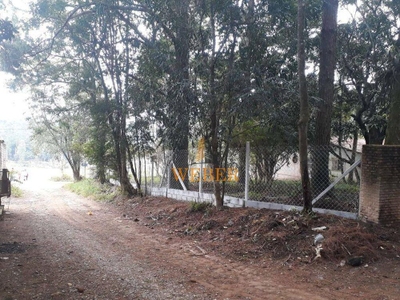 Chácara, 6 quartos, 41 hectares - Foto 1