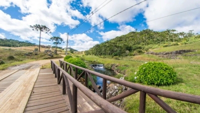 Terreno, 3000 m² - Foto 3