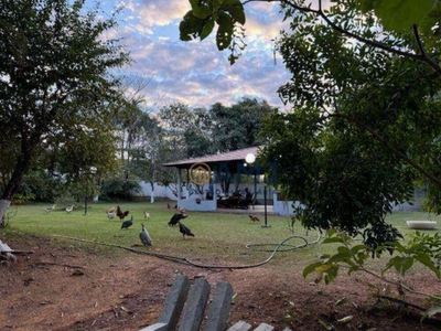 Terreno, 2 hectares - Foto 3