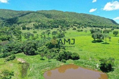 Fazenda-Sítio-Chácara, 70 hectares - Foto 4