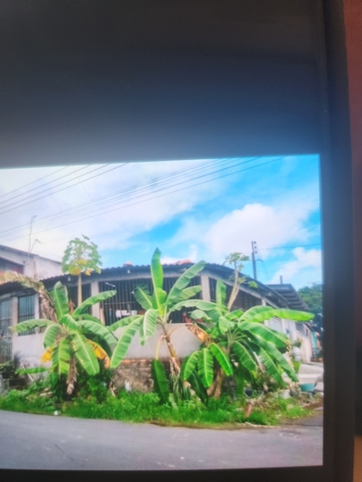 Casa, 4 quartos, 230 m² - Foto 3