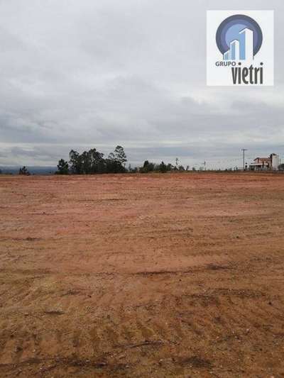 Depósito-Galpão, 2000 m² - Foto 4