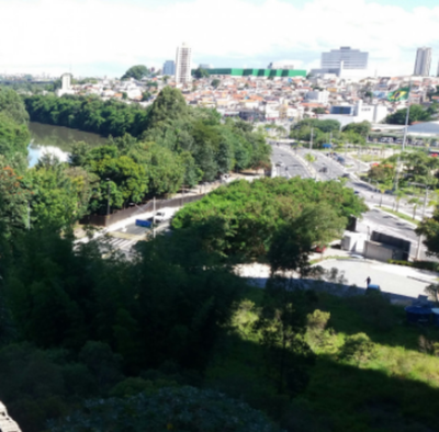 Terreno, 3500 m² - Foto 4