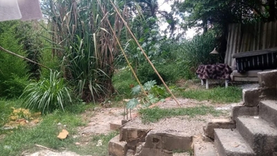 Casa, 6 quartos, 75 m² - Foto 3