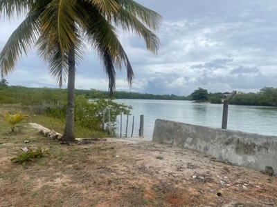 Terreno, 4 hectares - Foto 2