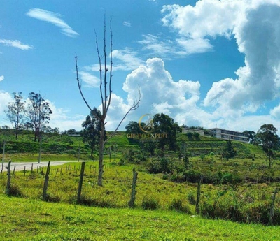 Terreno, 3 hectares - Foto 1