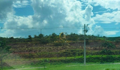 Terreno, 3 hectares - Foto 2