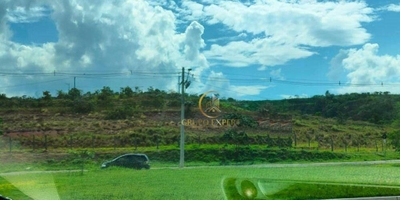 Terreno, 3 hectares - Foto 3