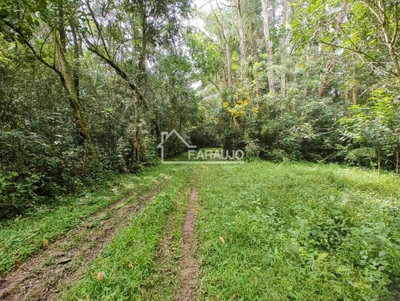 Sítio, 2 quartos, 4 hectares - Foto 1