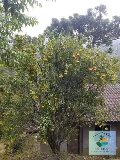 Casa, 2 quartos, 70 m² - Foto 3