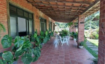 Sítio, 3 quartos, 8000 m² - Foto 3