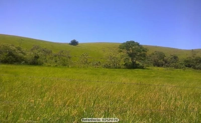 Sítio, 2 quartos, 24 hectares - Foto 5