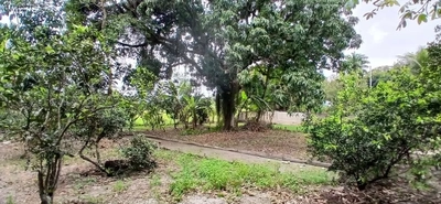 Sítio, 3 quartos, 4400 m² - Foto 5