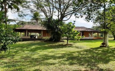 Fazenda-Sítio-Chácara, 11 hectares - Foto 2