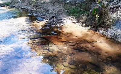 Sítio, 2 quartos, 18 hectares - Foto 1