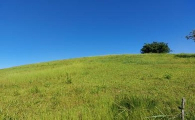 Sítio, 2 quartos, 18 m² - Foto 2