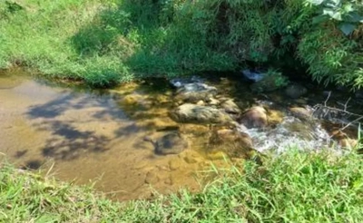 Sítio, 3 quartos, 3 hectares - Foto 3