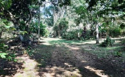 Sítio, 2 quartos, 10 hectares - Foto 5