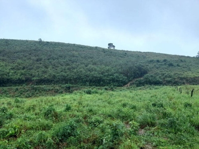 Fazenda-Sítio-Chácara, 17 m² - Foto 3