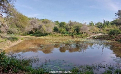 Sítio, 2 quartos, 10 hectares - Foto 2