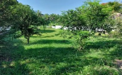 Chácara, 1 quarto, 1800 m² - Foto 5