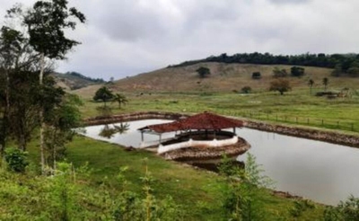 Sítio, 3 quartos, 15 hectares - Foto 2