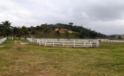 Sítio, 3 quartos, 15 hectares - Foto 4