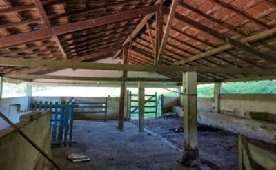 Sítio, 2 quartos, 5 hectares - Foto 3