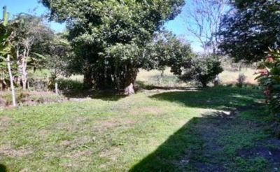 Sítio, 2 quartos, 2 hectares - Foto 4