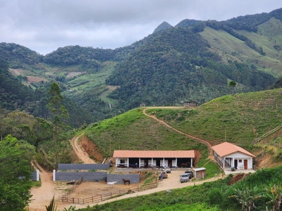 Fazenda, 8 hectares - Foto 1