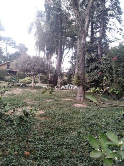 Chácara, 2 quartos, 2500 m² - Foto 5