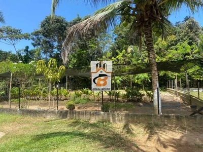 Sítio, 4 quartos, 5000 m² - Foto 3