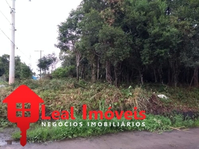 Terreno, 250 m² - Foto 2